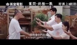 叶问 粤语 在线观看,重温国术宗师传奇风采